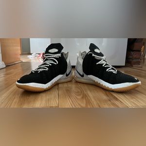 Lebron black and white